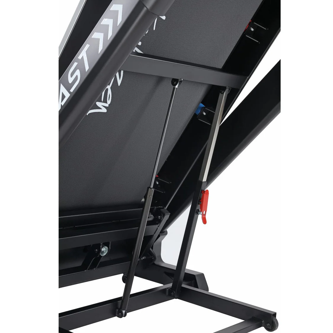 Lynx Kast – Image 6