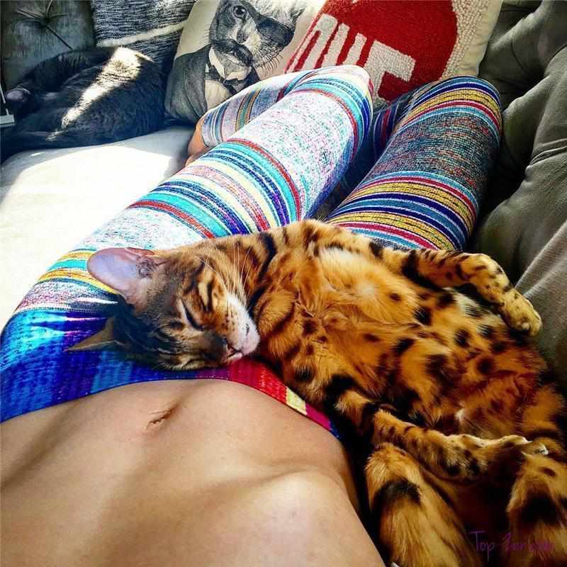 Legging de Yoga Coloré-Legging de Sport Femme – Image 3