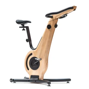 Vélo de Biking Bike Frêne